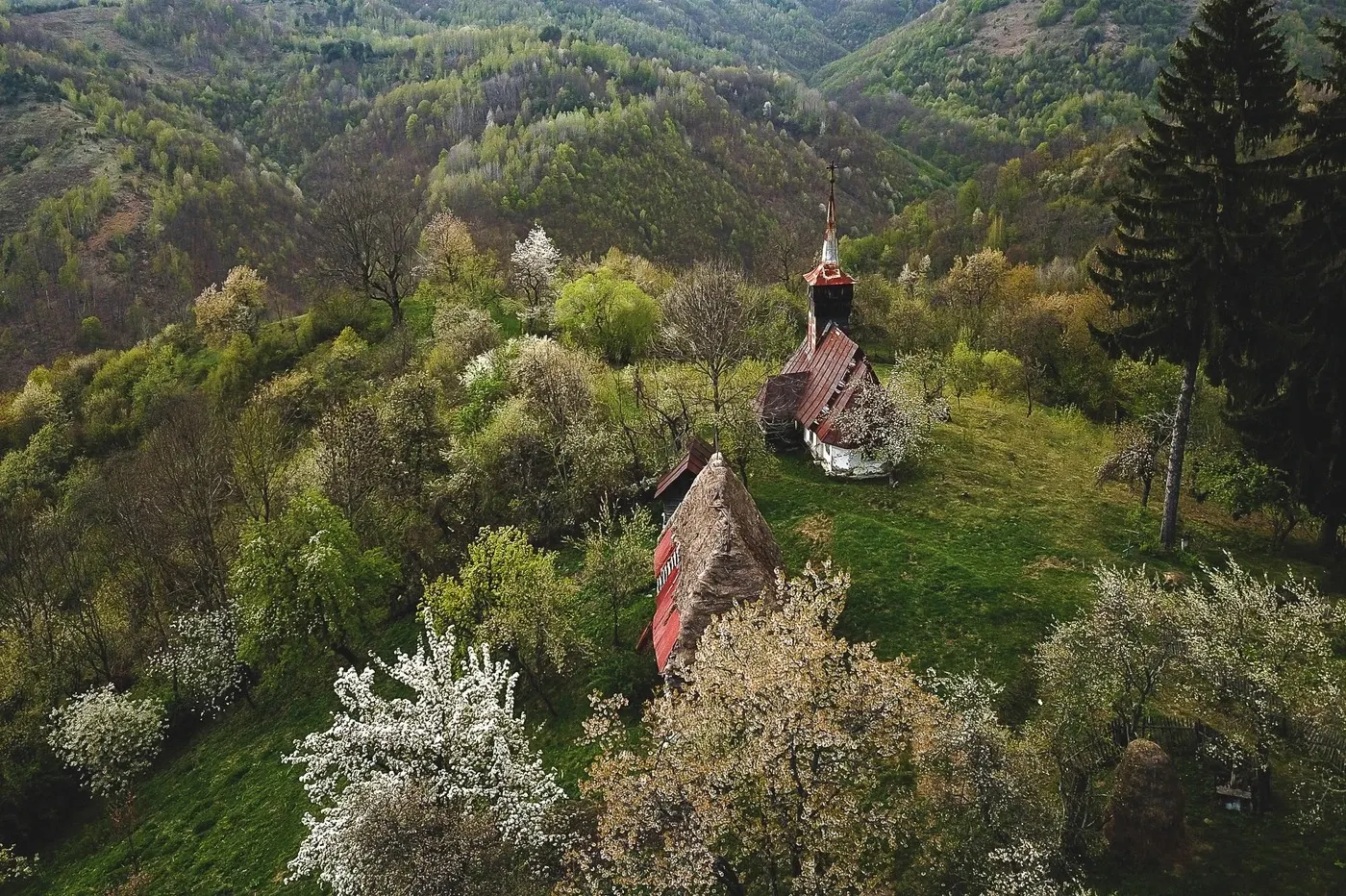Foto: Profimedia