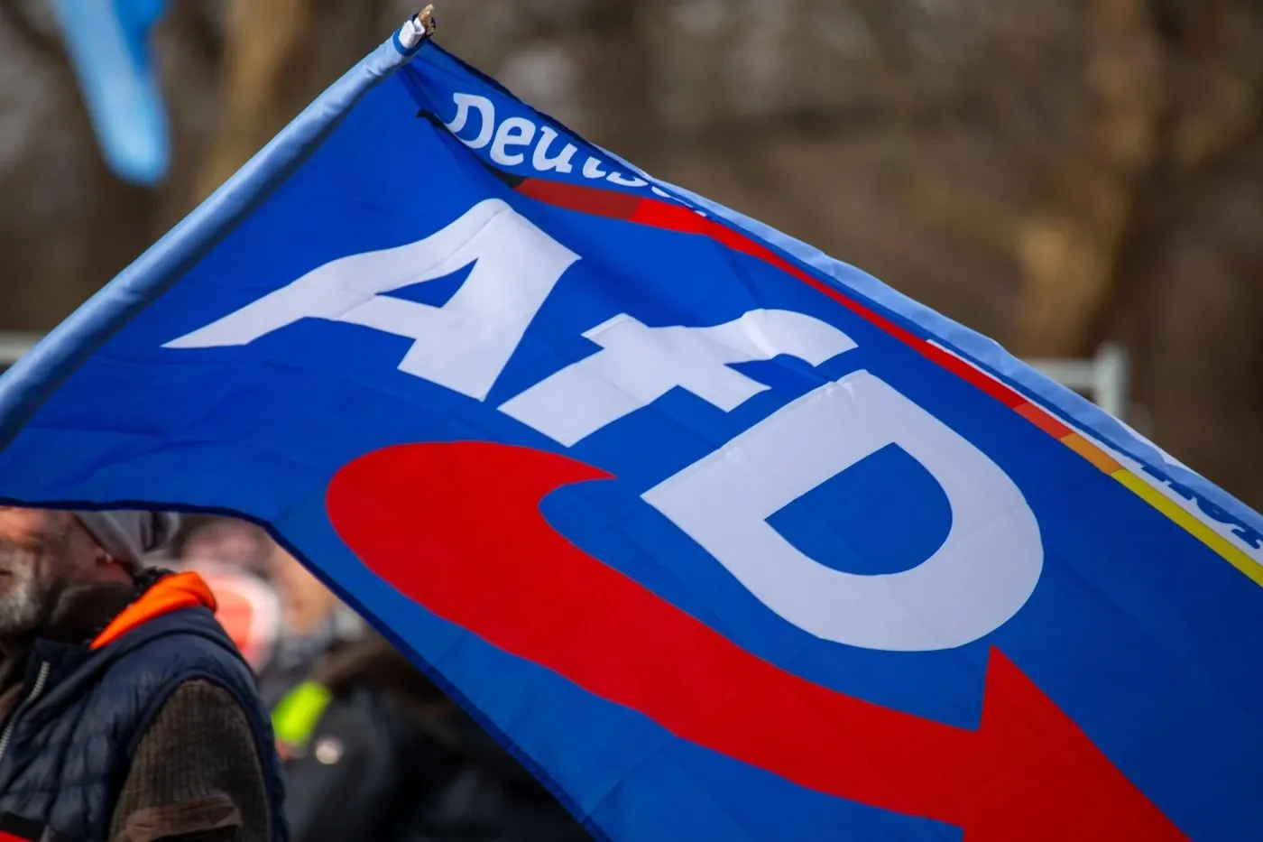 AfD. Foto: Profimedia