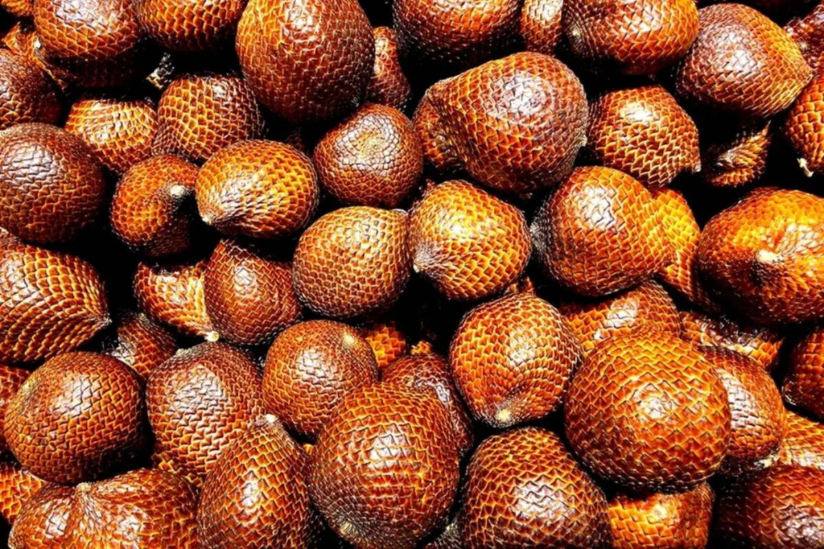Fructul exotic Salak