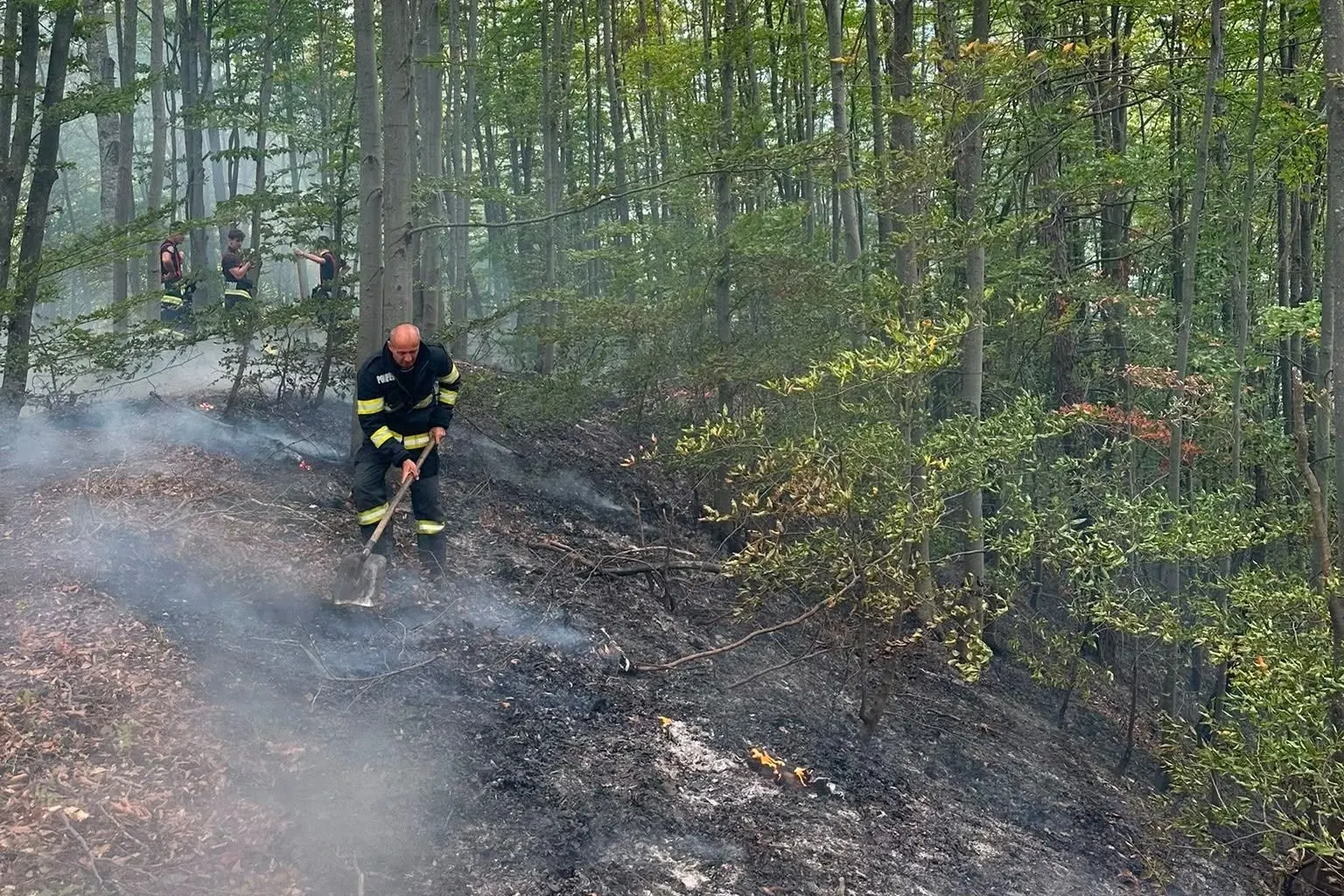 Incendiu de vegetație la Băile Olănești