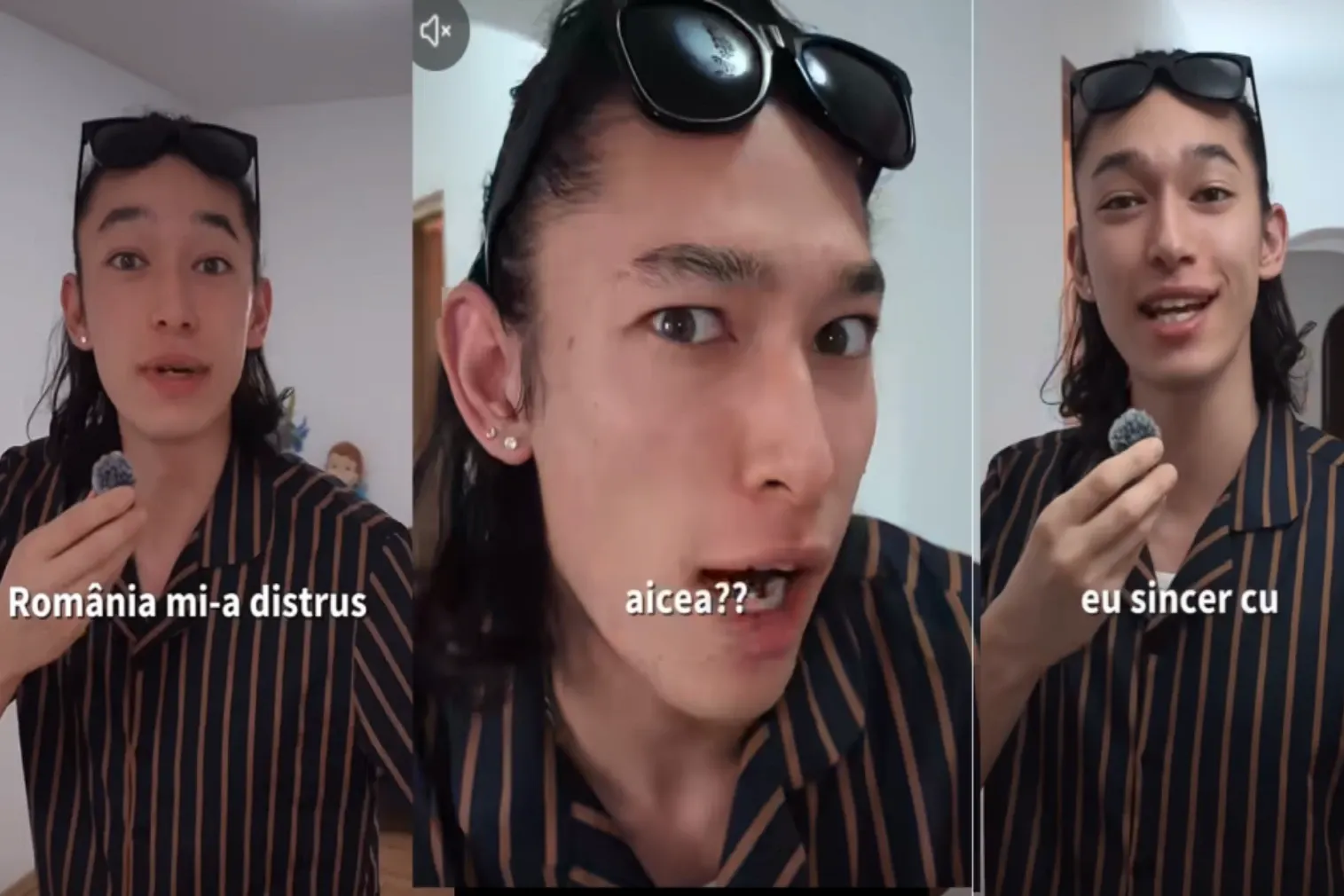 Japonez stabilit in Romania