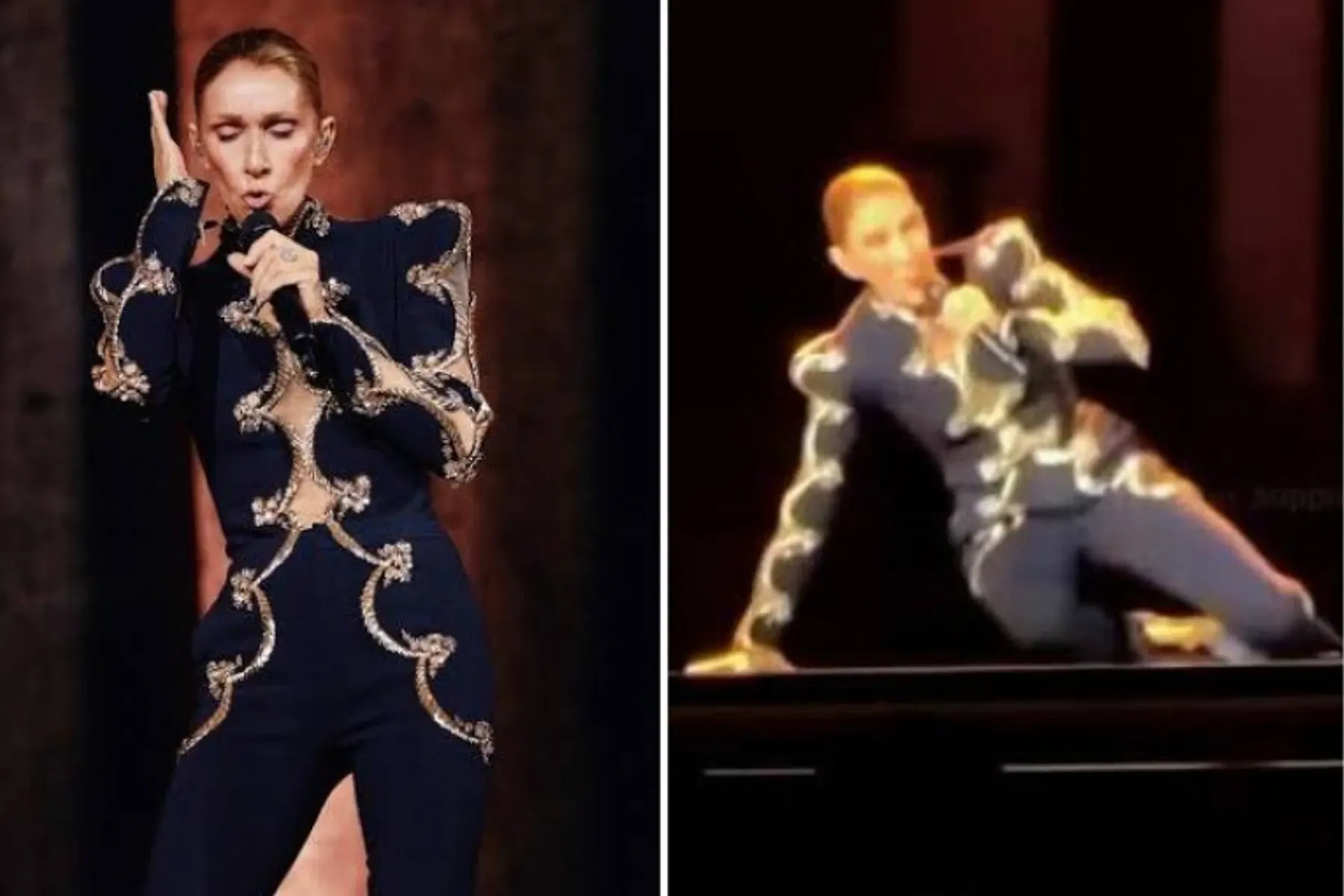 Celine Dion a căzut pe scenă. Foto: 1news.az