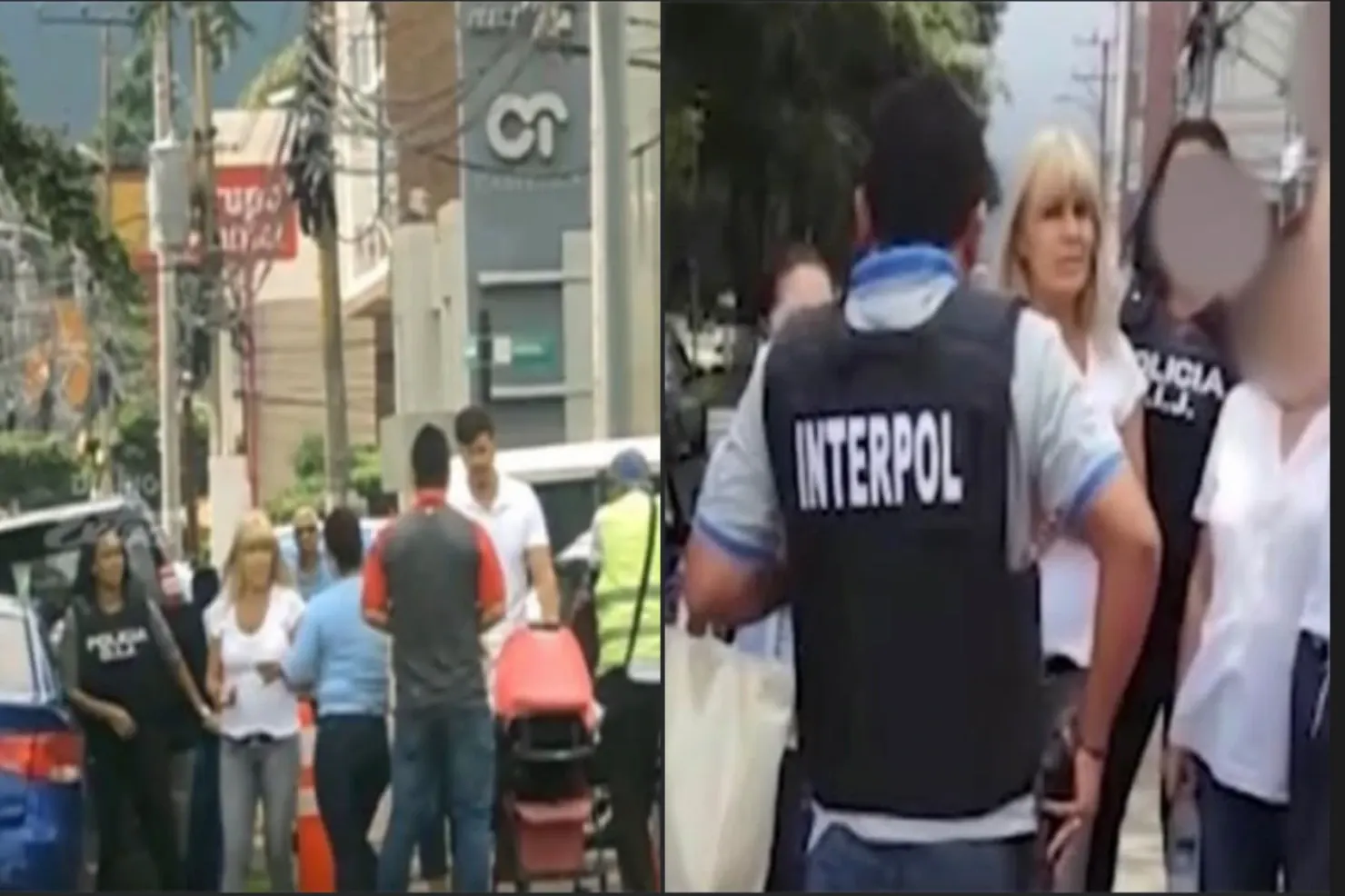 Elena Udrea in momentul arestarii (foto> FB)
