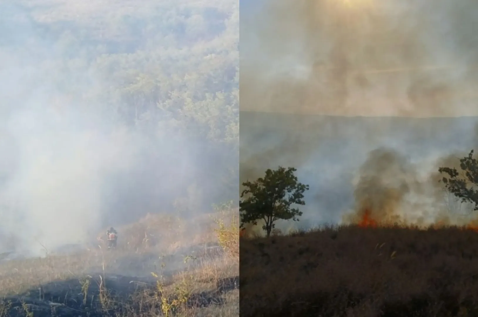 FOTO: Ziarul de Bacău/ Colaj Realitatea.Net