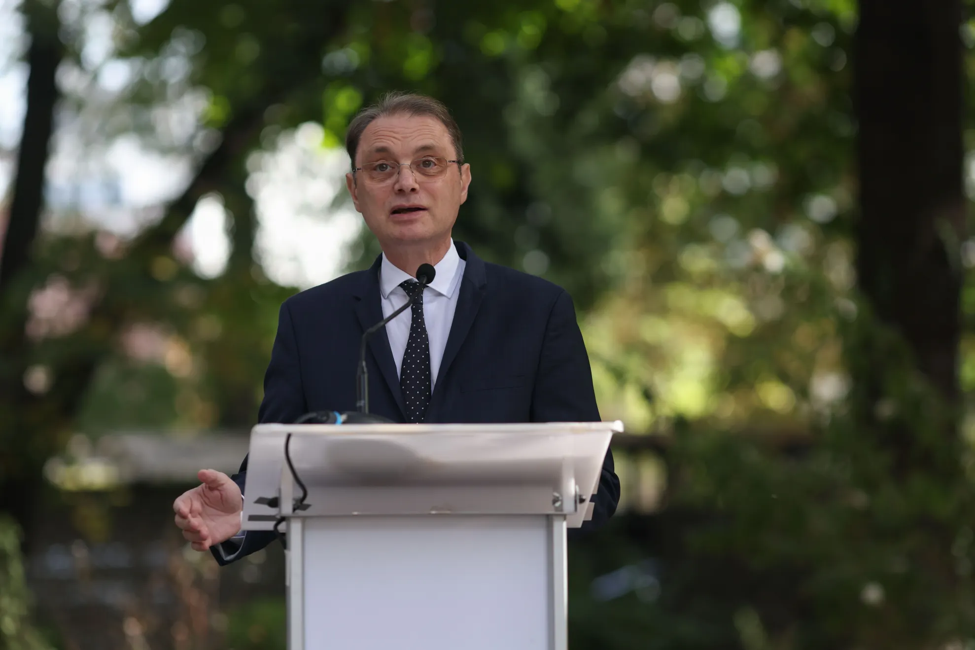 Luca Niculescu (foto: Inquam Photos)