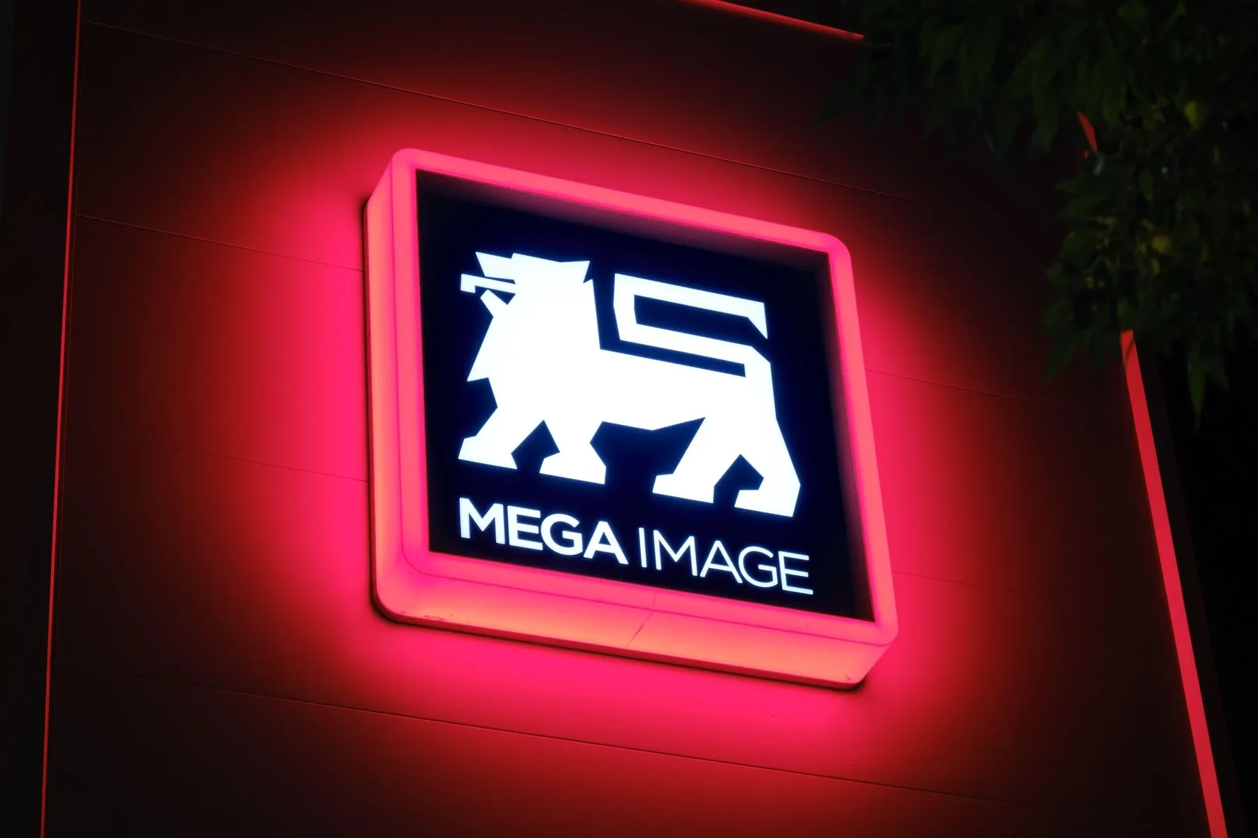 Logo Mega Image/ profimedia