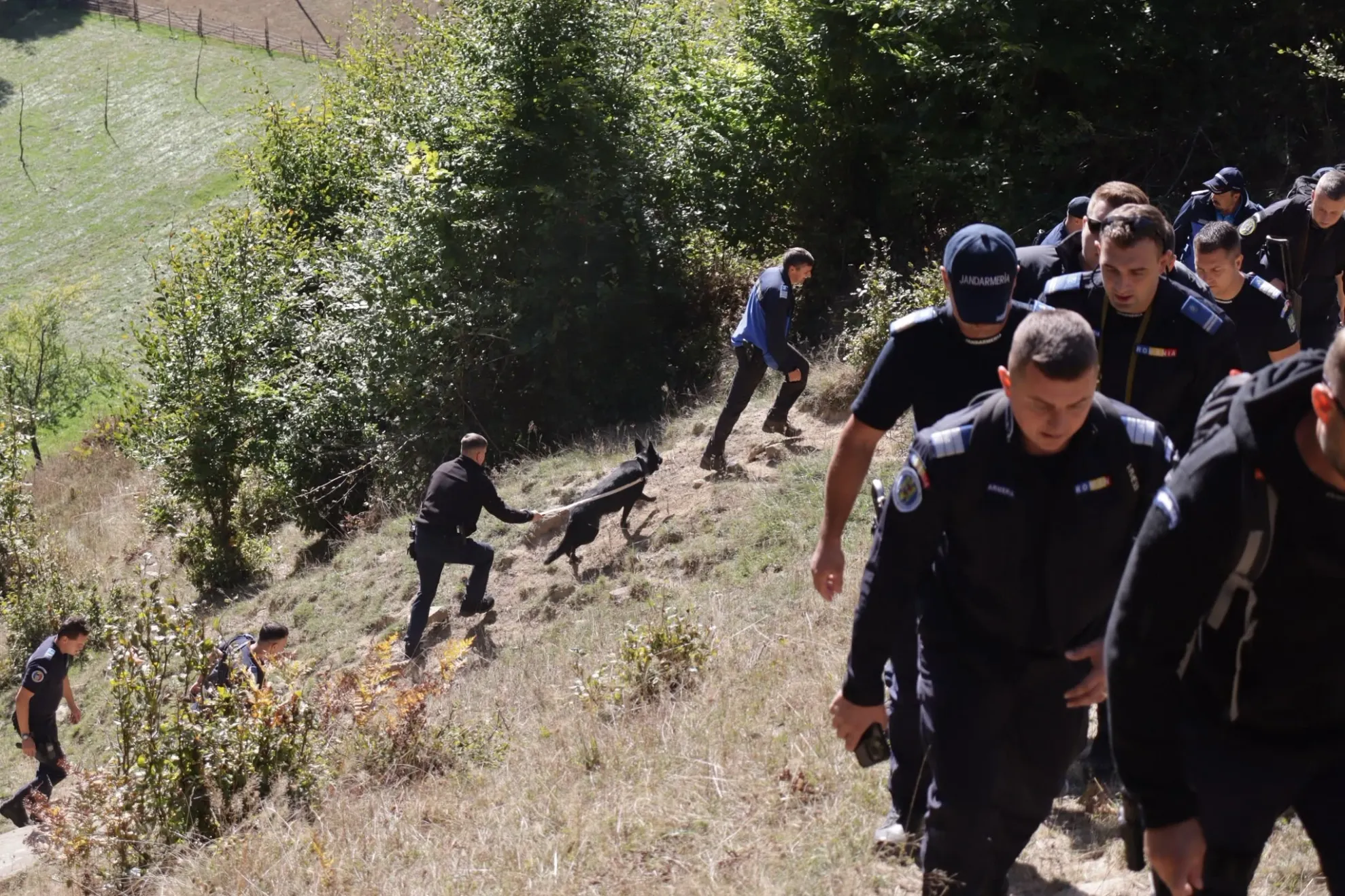 Operațiune de  căutare in munți (foto: ISU Bistrita)