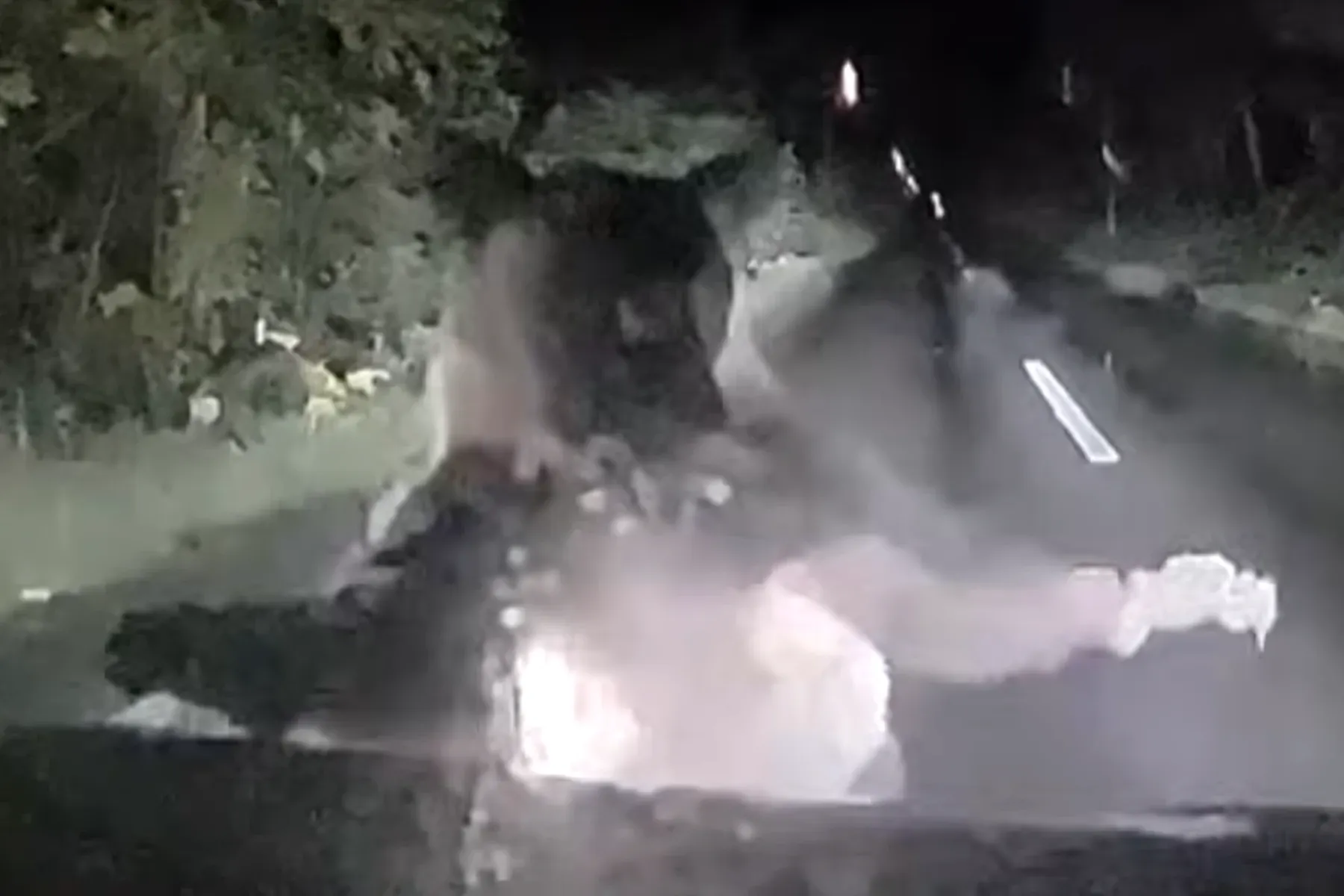 Momentul în care o ursoaică se năpustește asupra unei mașini.