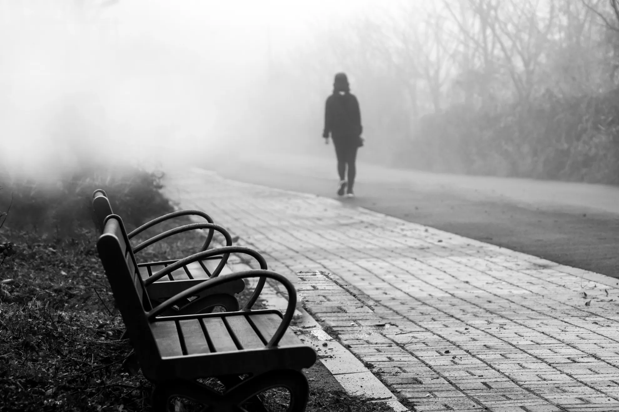 Ceață / Sursa foto - Pixabay