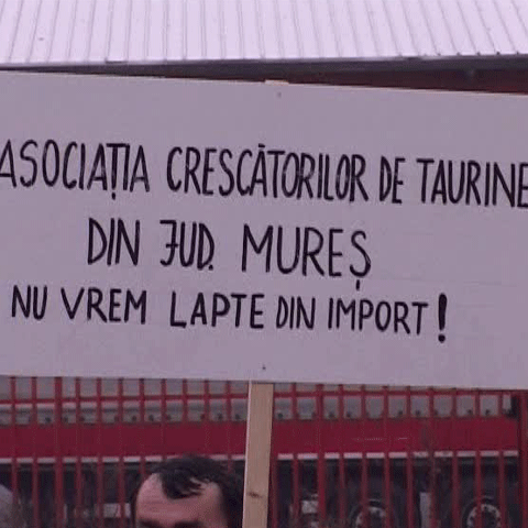 Crescătorii de vite au protestat în apropierea Vămii Nădlac