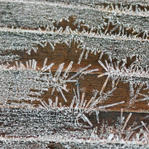 Anul 2009 a venit cu temperaturi sub limita îngheţului