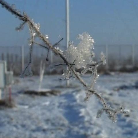 36 de persoane au murit din cauza valului de ger din ultima perioadă 