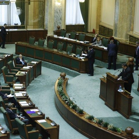 Modificarea Constituţiei - temă de dezbatere care va agita apele în anul 2009