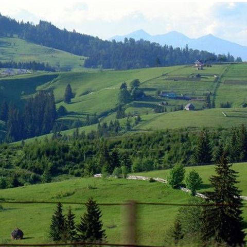 Agenţiile de turism vor discuta cu Elena Udrea despre legea tichetelor de vacanţă