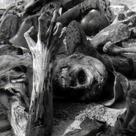 O groapă comună cu 1.800 de cadavre ale unor germani a fost descoperită în Polonia 