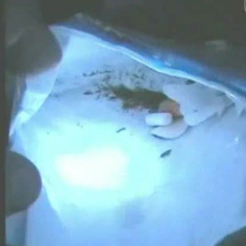 Doi tineri au fost prinşi când încercau să se drogheze lângă Şcoala 136 din Capitală