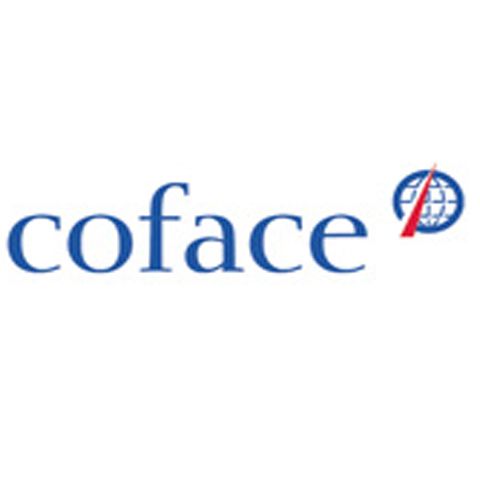 Coface: Finanţările îngheaţă din cauza băncilor-mamă. Băncile spun că din cauza riscului