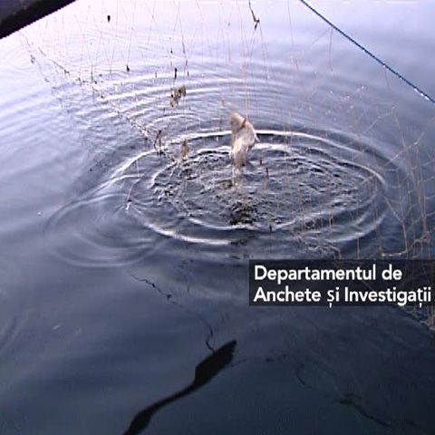 Braconierii din Delta Dunării dau mari bătăi de cap autorităţilor 