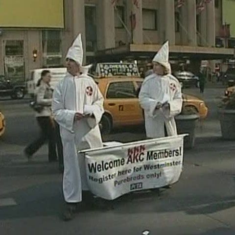 Membrii PETA i-au comparat pe cei de la Kennel Club cu Ku Klux Klan