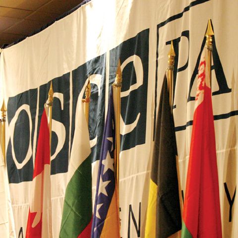 Cei doi observatori OSCE, răpiţi în Osetia de Sud, au fost eliberaţi