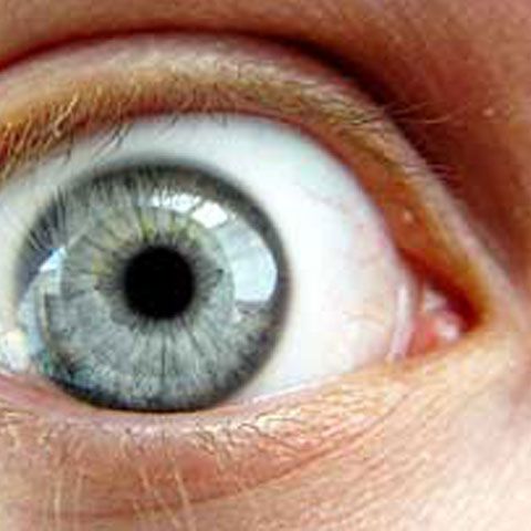 Top 10 organe ''inutile'' din corpul omenesc