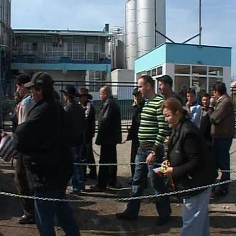 Protest cu oi şi măgari, la sediul Autorităţii Sanitar-Veterinare