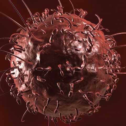 Molecule care produc autodistrugerea celulelor canceroase, create de cercetătorii francezi