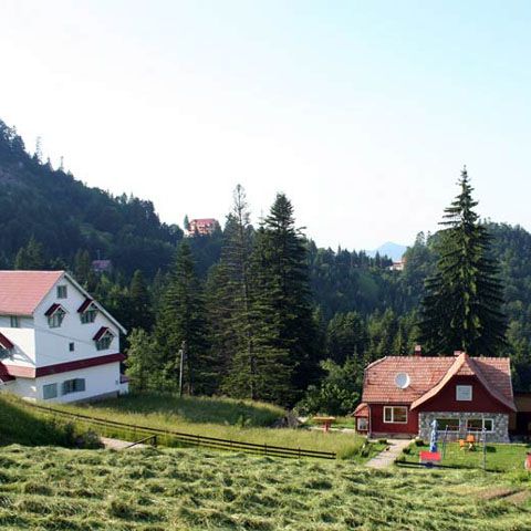 Preţul terenurilor ar putea scădea cu 90%, potrivit companiei de evaluare Darian