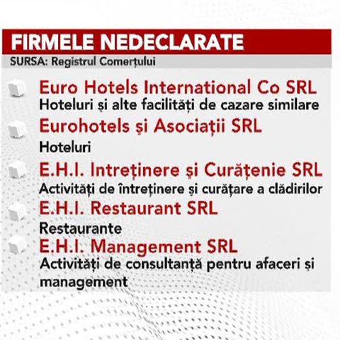 Elena Udrea nu a menţionat în declaraţia de avere opt firme ale soţului ei, Dorin Cocoş