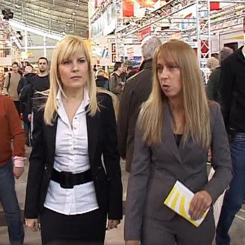 Elena Udrea: Scandalurile din Italia în care sunt implicaţi români vor afecta turismul românesc