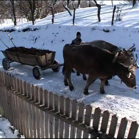 Vacanţă departe de lume la Vintileasca