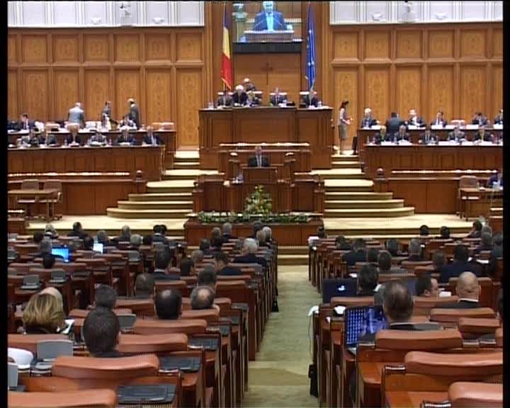 FMI şi Adrian Năstase nasc disensiuni între PDL şi PSD