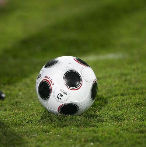 Scoţia şi Ţara Galilor au renunţat la planul de a organiza împreună EURO 2016