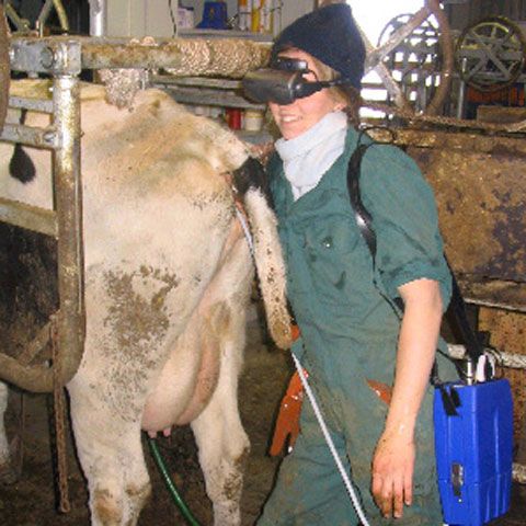 Criza economică i-a adus în pragul falimentului pe fermierii clujeni