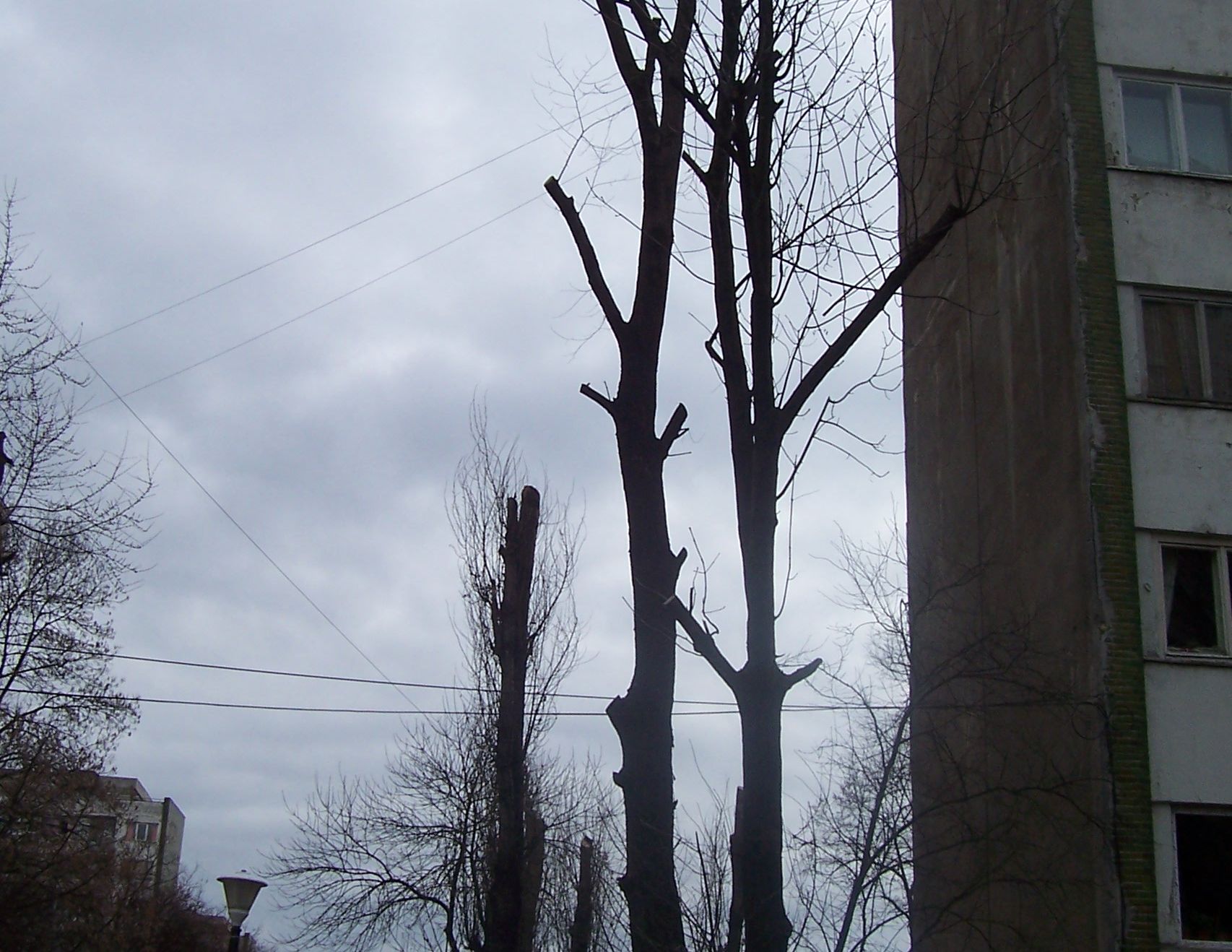 Pereţii unui bloc din bucureşti stru să cadă