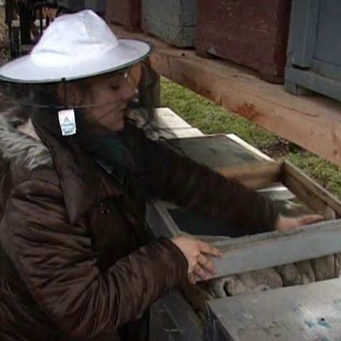 UE le dă bani tinerilor care vor să devină fermierii 