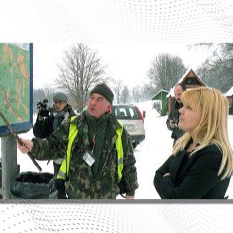 Academia Caţavencu: Contractul Primăriei Bucureşti cu firma de parcări Dalli este ilegal