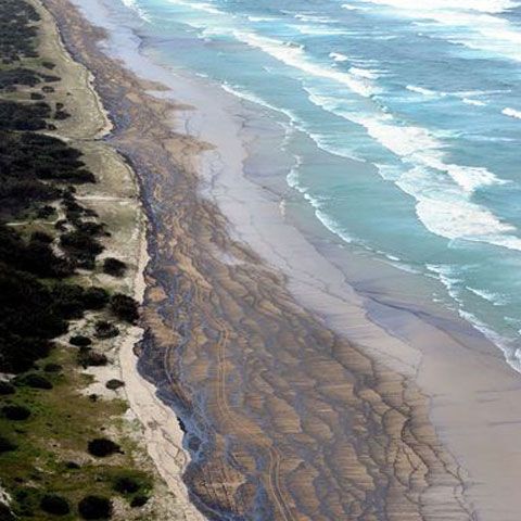 Plajele australiene, îmbibate cu petrolul unei nave avariate