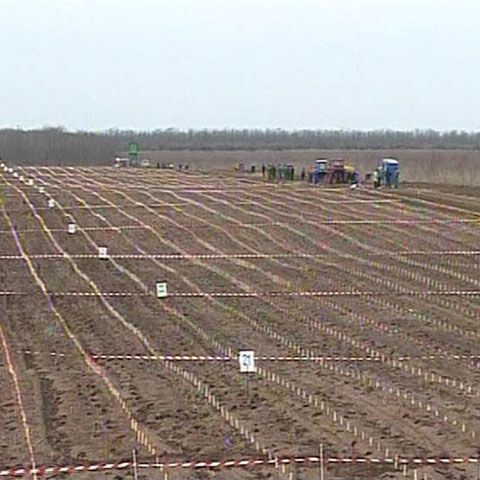 Campania România prinde rădăcini a ajuns la Sudiţi, judeţul Ialomiţa