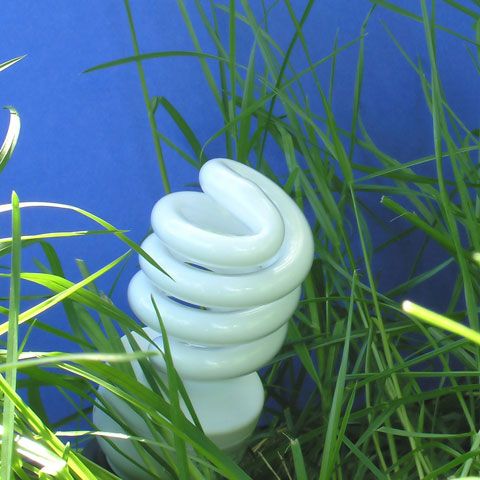 Oraşul Bruxelles a adoptat două norme pentru scoaterea de pe piaţă a becurilor neecologice până în 2012