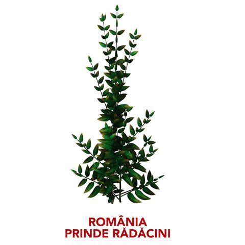 Campania "România prinde Rădăcini" va ajunge pe 27 martie la Iaşi 