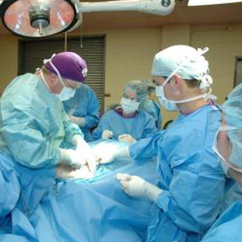Parlamentarii au eliminat un articol din Codul Civil care propunerea ca persoanele fără discernământ să poată deveni cobai