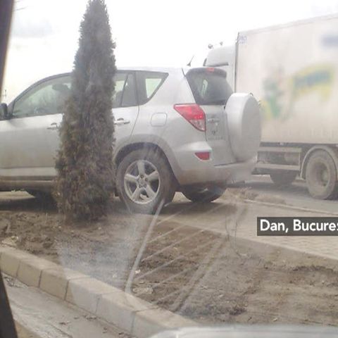 Un şofer a ales varianta off-road pe trotuar