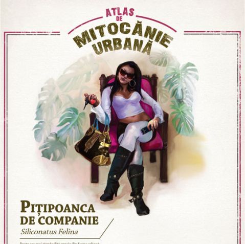 Radio Guerrilla a lansat campania "Atlas de mitocănie urbană" - ASCULTĂ JINGLE