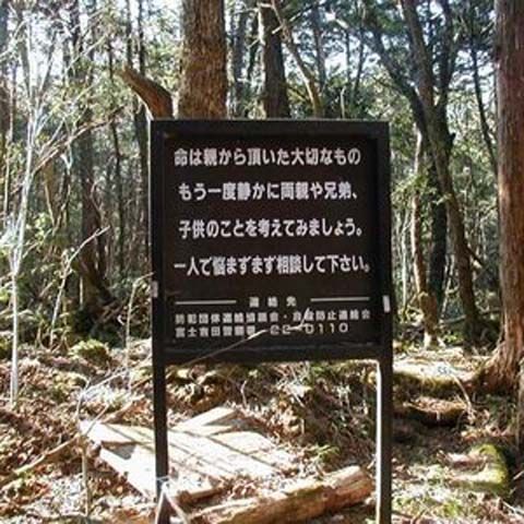 Pădurea sinucigaşilor, din Japonia, tot mai aglomerată de la începutul crizei economice