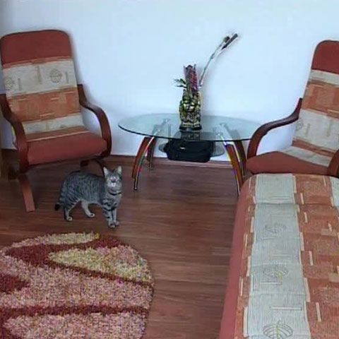 În Mărăşeşti, o garsonieră costă cât o maşină la mâna a doua