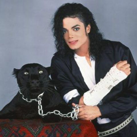 Ecologiştii îi solicită lui Michael Jackson să nu folosească elefanţi şi pantere în turneul său