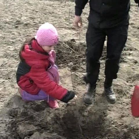250 de pompieri din Galaţi au plantat 6.000 de plopi albi