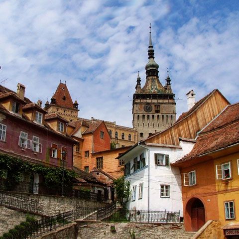 Platoul din Sighişoara unde trebuia construit Dracula Park va fi împădurit