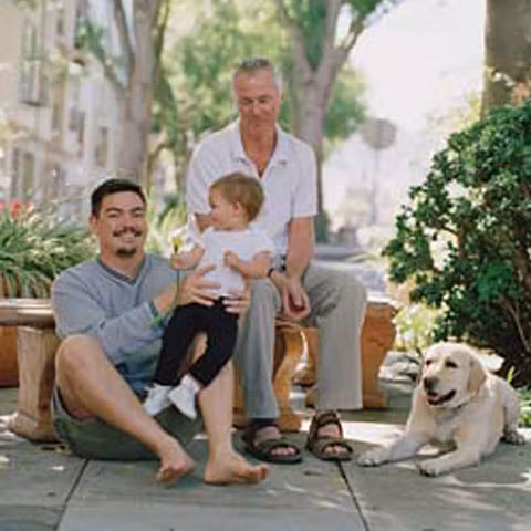 Cuplurilor de homosexuali şi lesbiene le sunt interzise adopţiile, a stabilit Comisia de Cod Civil